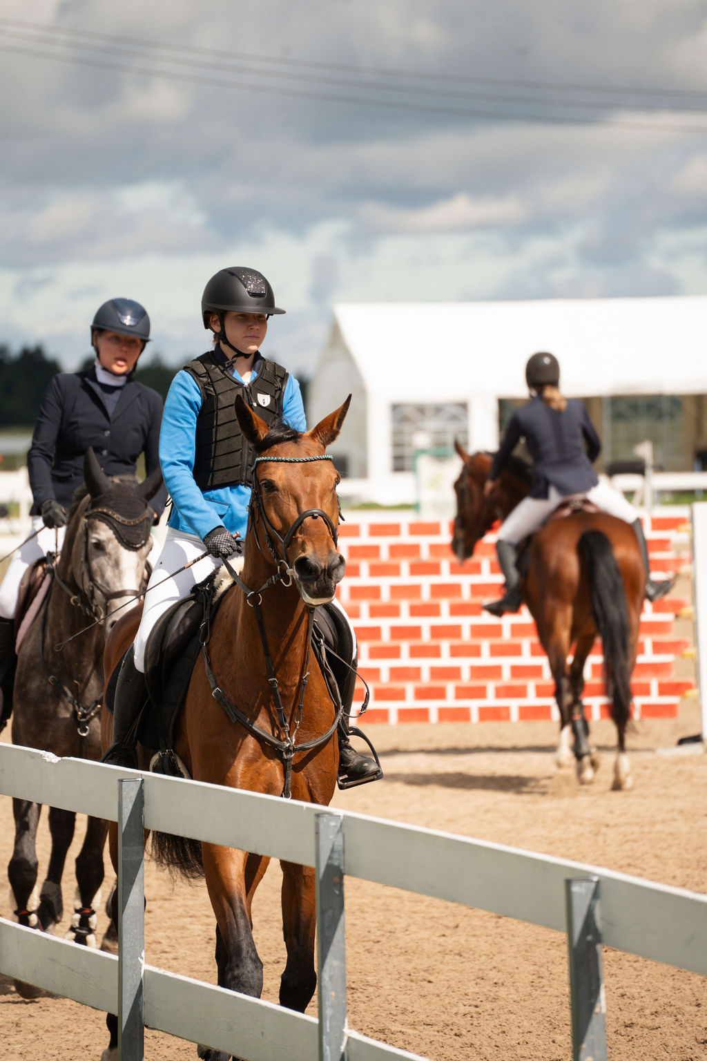 Ratsaspordi foto - MKvisual spordifotograaf