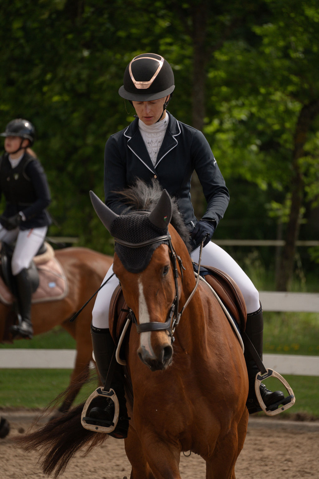 Ratsaspordi foto - MKvisual spordifotograaf
