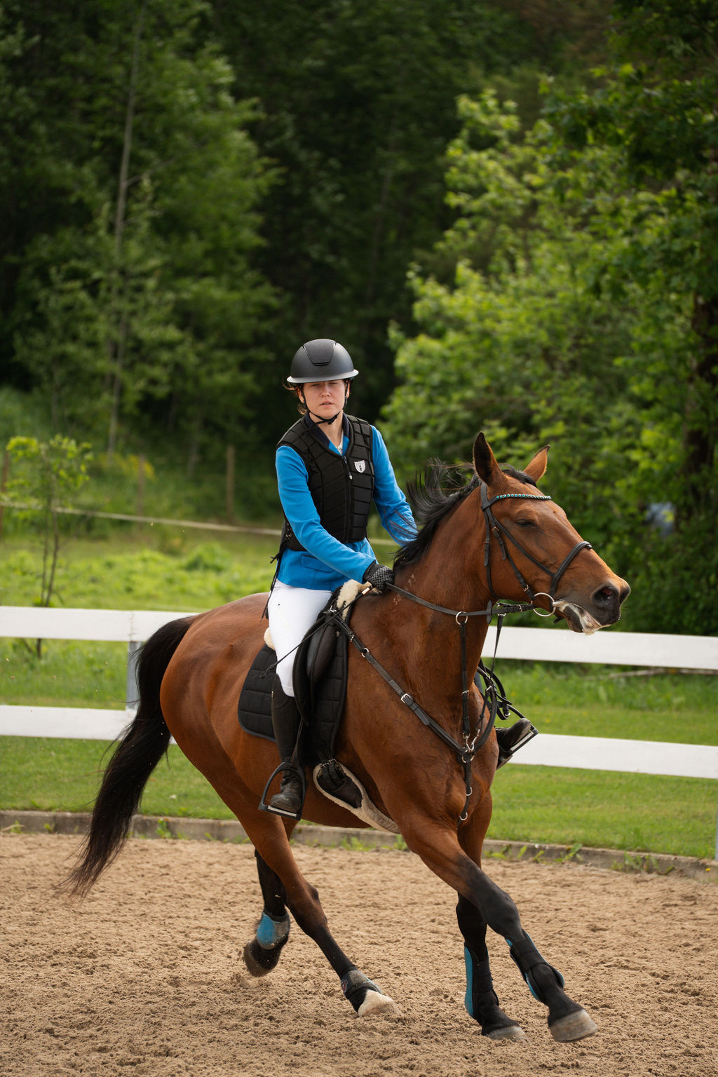 Ratsaspordi foto - MKvisual spordifotograaf