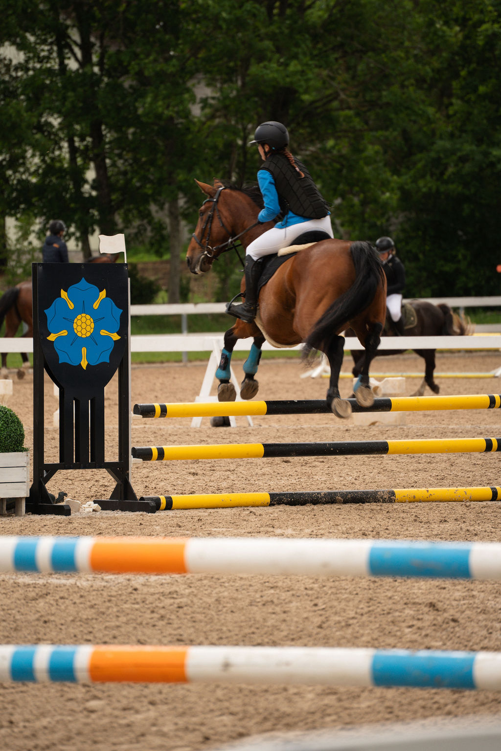 Ratsaspordi foto - MKvisual spordifotograaf
