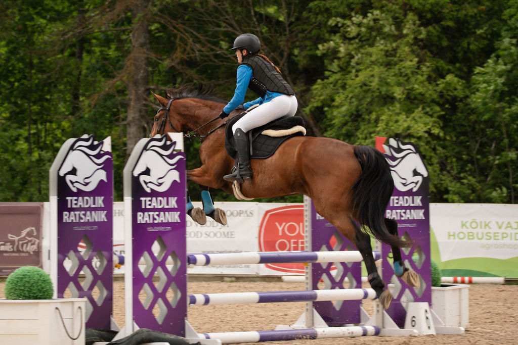 Ratsaspordi foto - MKvisual spordifotograaf